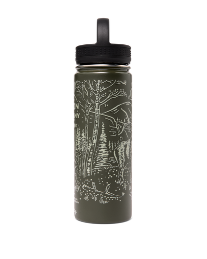 Insulated Water Bottle - Green / Wildlife