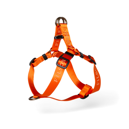Adjustable Nylon Harness - Flame